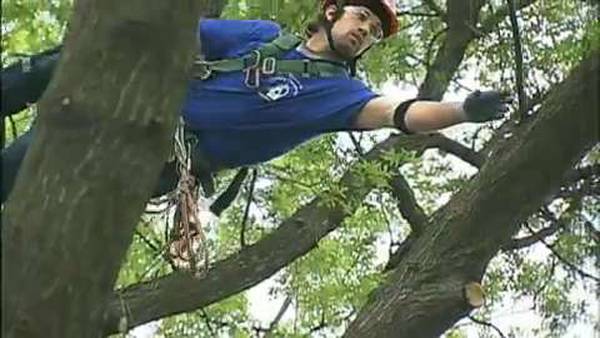 Tree Climbing Competition coming to Tulsa
