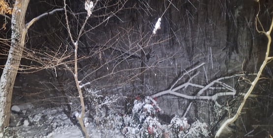 Check out all the snow photos you sent us via our app during Tuesday's winter storm