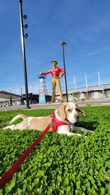 Check out all the adorable photos you sent us of your dogs on National Dog Day!
