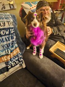 Check out all the adorable photos you sent us of your dogs on National Dog Day!