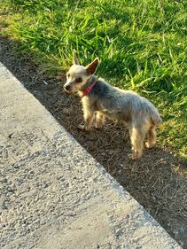 Check out all the adorable photos you sent us of your dogs on National Dog Day!