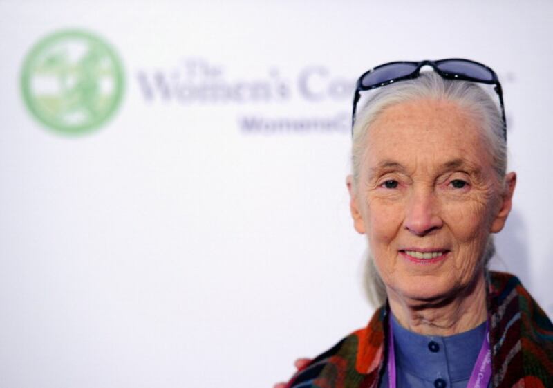 Dr. Jane Goodall