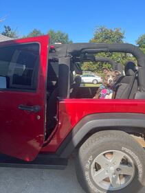 Check out all the adorable photos you sent us of your dogs on National Dog Day!