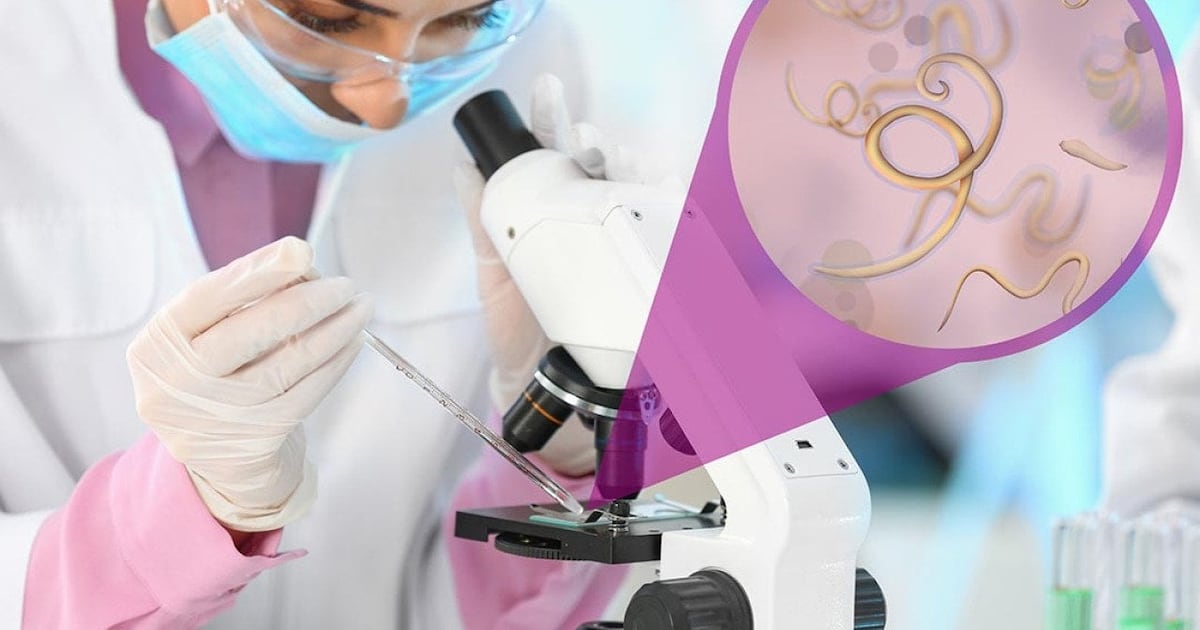 Worm-inspired treatments inch toward the clinic