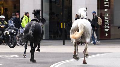 Several military horses break free in London